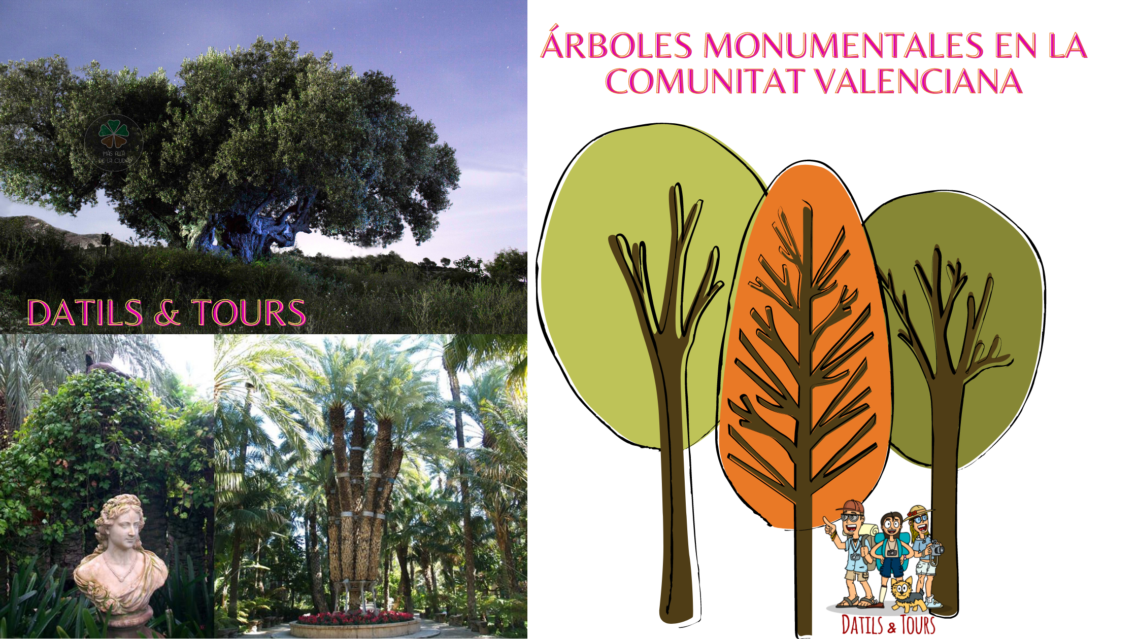 Árboles singulares en la Comunitat Valenciana