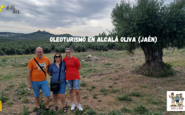 Oleoturismo en Alcalá Oliva