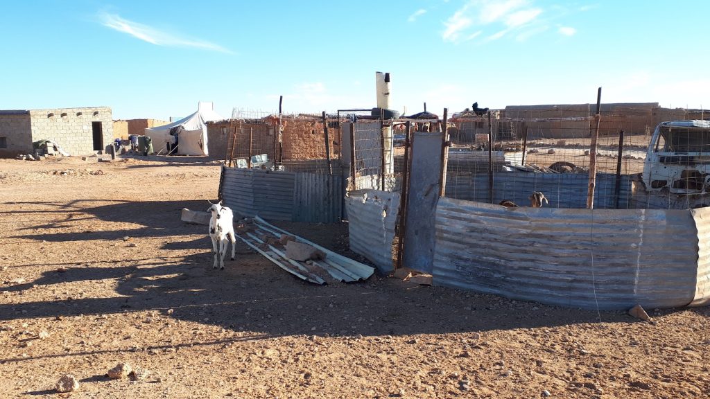 Corrales para las cabras en Campamentos saharauis