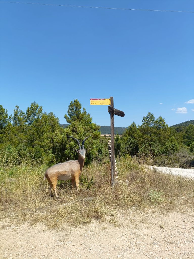 Paraje de AguaViva en Teruel, El Maestrazgo