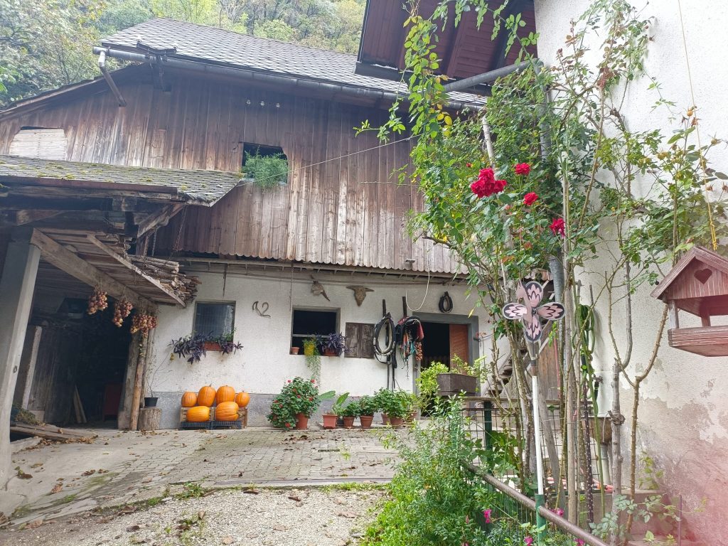 Paseando por las calles de Bled