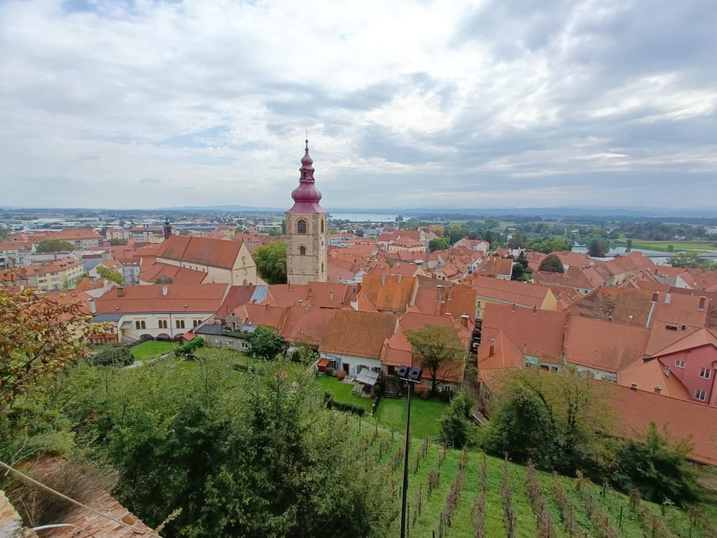 Vista de Ptuj desde el castillo